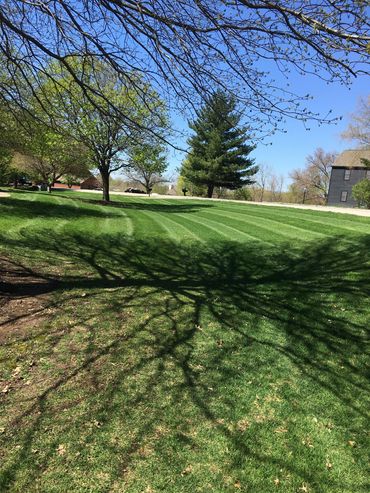 Bettendorf lawn care service
Davenport lawn care service
Mowing Bettendorf IA
Mowing Davenport IA
