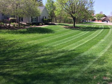 Bettendorf lawn care service
Davenport lawn care service
Mowing Bettendorf IA
Mowing Davenport IA
