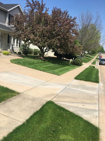 Bettendorf lawn care service
Davenport lawn care service
Mowing Bettendorf IA
Mowing Davenport IA
