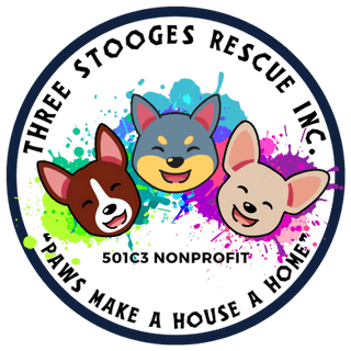 Three Stooges Rescue