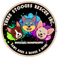 Three Stooges Rescue