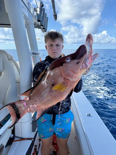 Private Gulf Coast discovery spearfishing trip. Learn safe, fish-focused spearfishing 