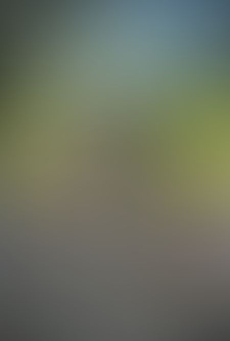 Martin's Louisiana Alligator Hunts — photo 4