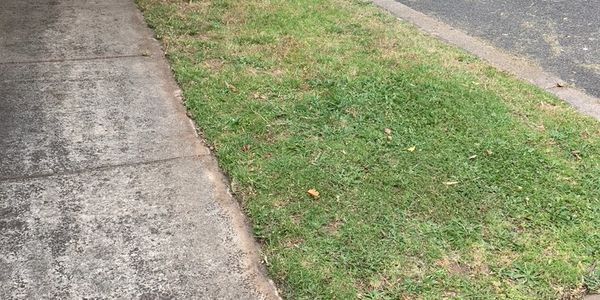 Mowing Slashing