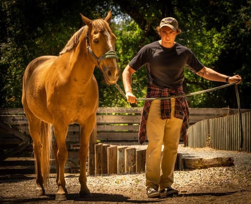Connecting Veterans with Horses