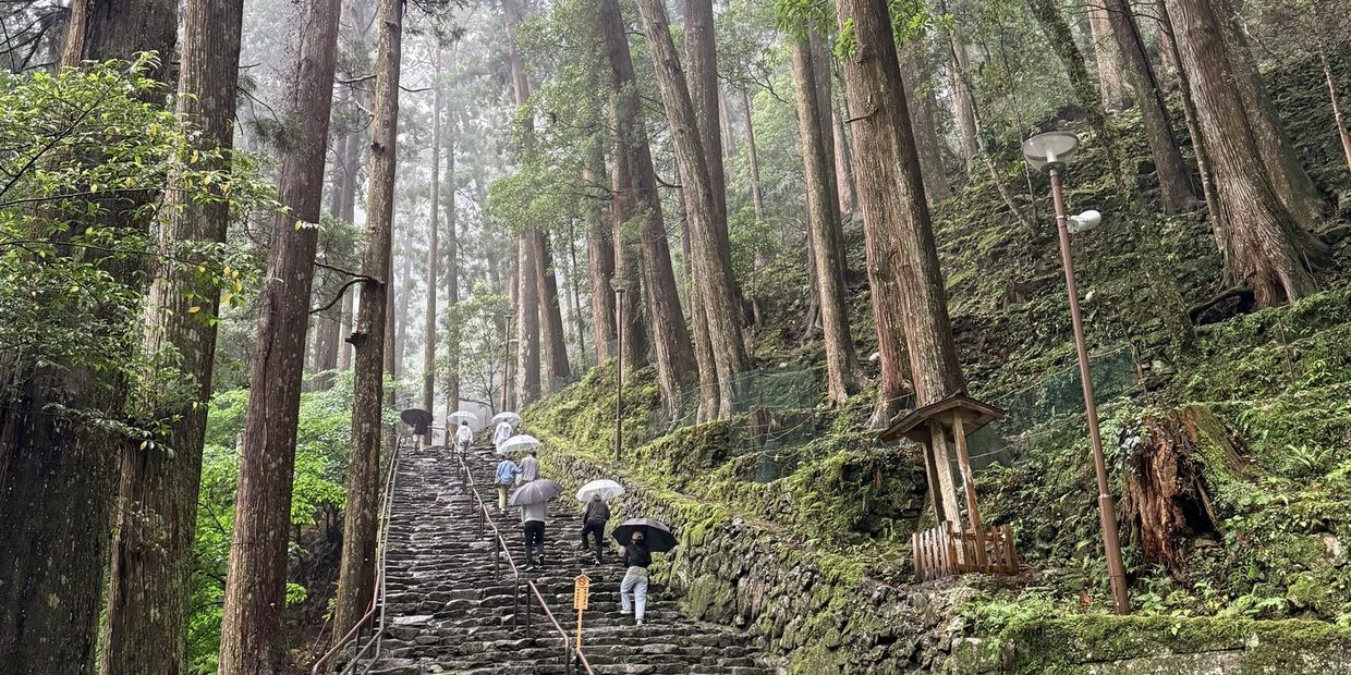 People with umbrellas walking up stone steps in a forest.