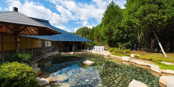 Serene outdoor hot spring with clear water and greenery.