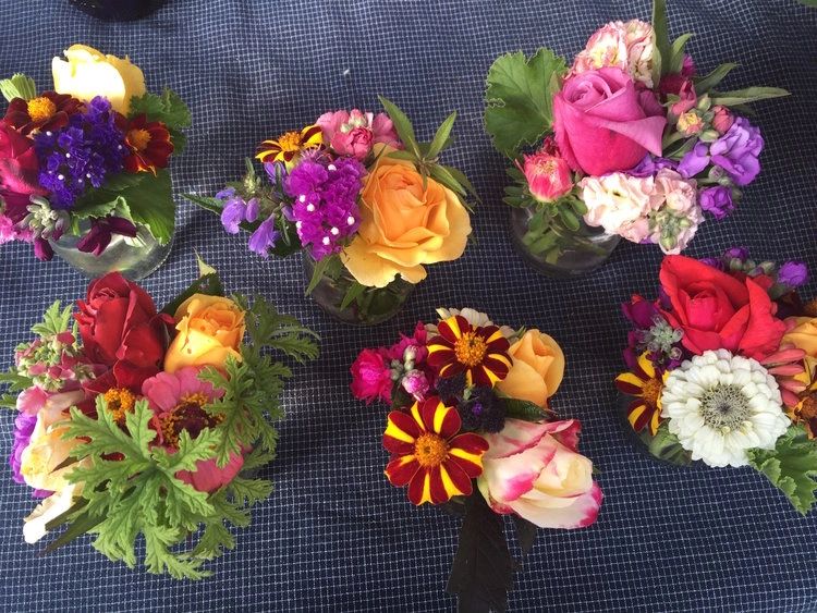 Point Reyes Spring Flowers Point Reyes Flowers - Ordering Wedding Flowers Online, Floral ...