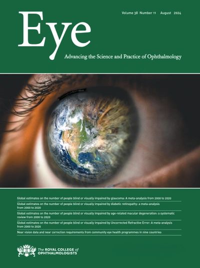 Eye Journal Cover