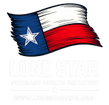 The Lone Star Veterans Health Initiative