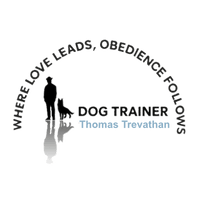 Dog Trainer Thomas