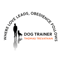 Dog Trainer Thomas