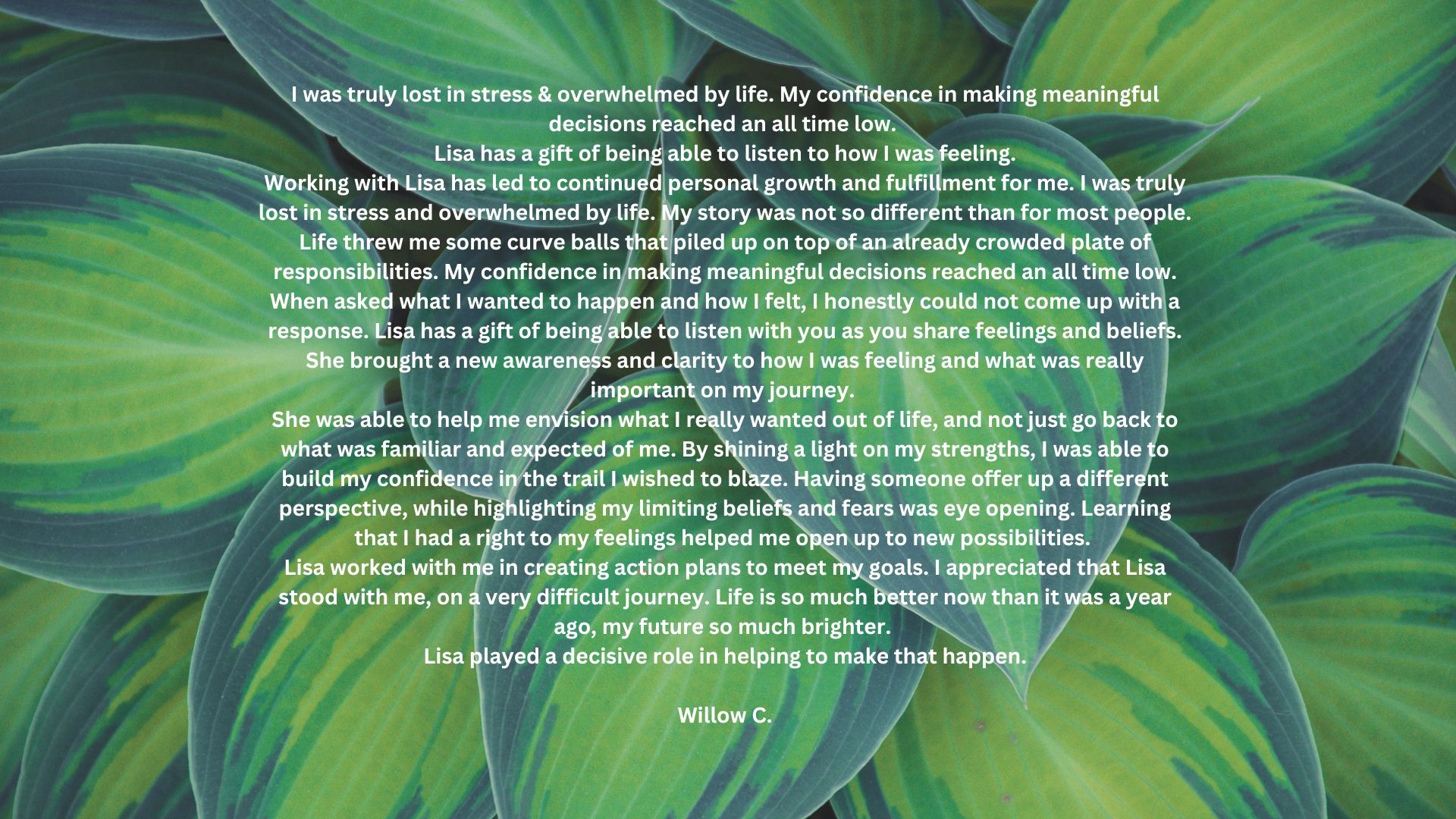 //img1.wsimg.com/isteam/ip/3a31d71a-25fe-4f4e-ba67-551ce75a188d/Willow%20testamonial.png/:/rs=w:1300,h:800