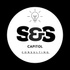 SS Capitol Consulting
