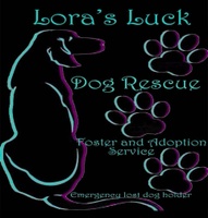 Lora's Luck Ltd Dog Rescue Foster and Adoption Service-  BACK UP 