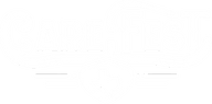 CareFest