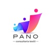 panoconsultoria.com