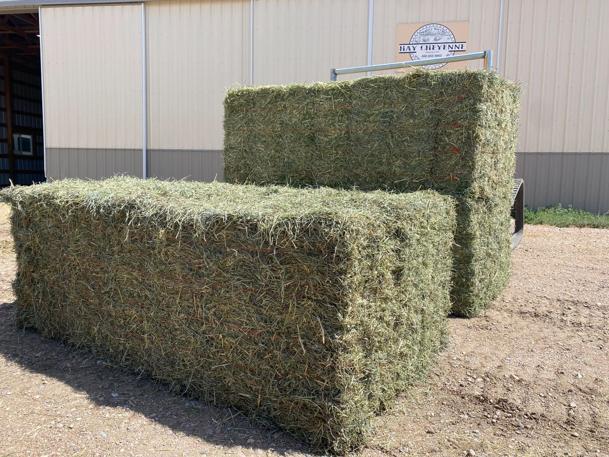 2nd Orchard/Alfalfa Mix 70/30 Small Bale Bundle