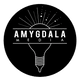 Amygdala Media