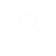 Spacial Cowboy