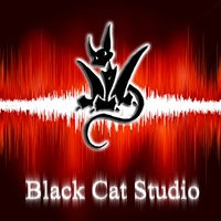 Black Cat Studio