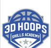 3D Elite Basketball