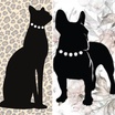 Elegant Bengals & Frenchies - Breeder & In home Pet sitting