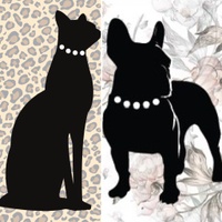 Elegant Bengals & Frenchies - Breeder & In home Pet sitting