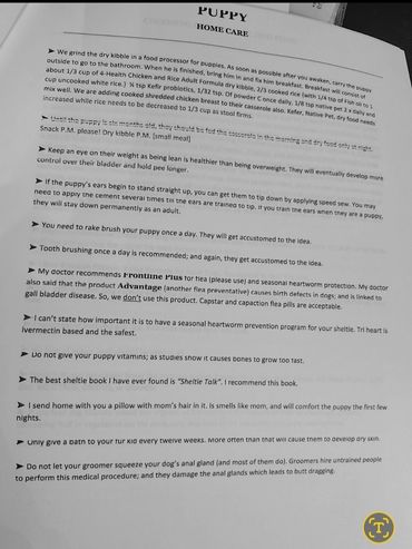 A typed puppy home care guide with feeding, grooming, and health tips.