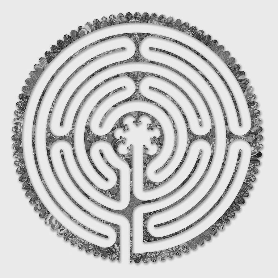 Heart of the Chartres 7-circuit labyrinth
