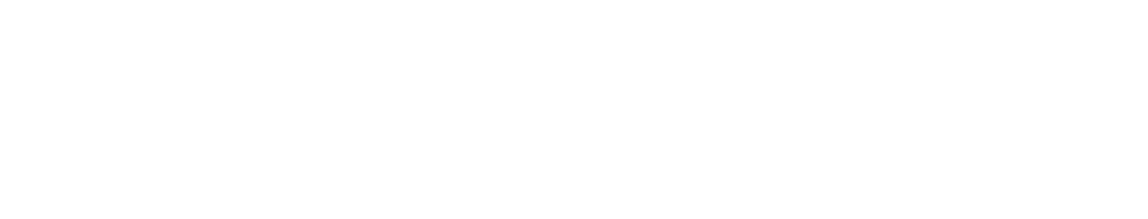 The Lifestyle of Love 