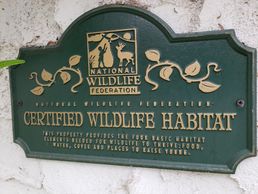 "Certified Wildlife Habitat" Plaque
photo by Eve Reynolds