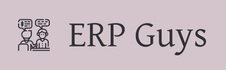 ERP Guys