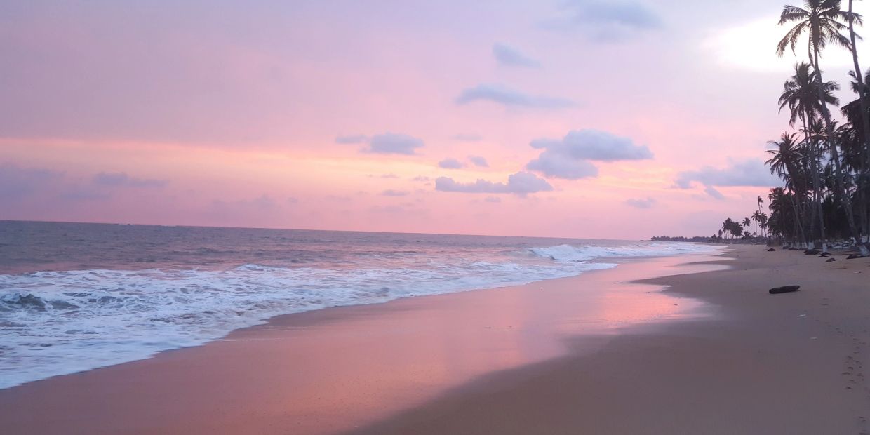 Peaceful beach sunset with pink sky and palm trees.