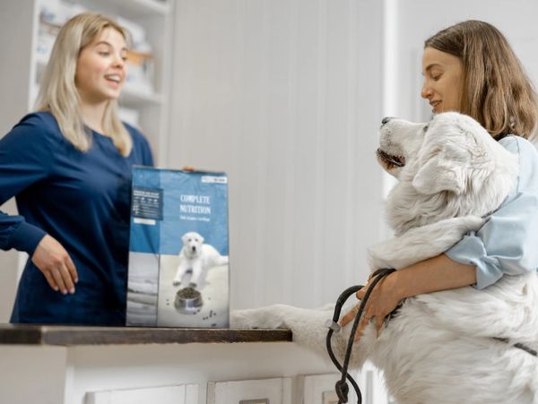 Female owner with big white dog on reception in veterinary clinic choosing dry food