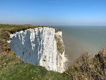 White chalk cliffs overlooking a calm sea under a clear blue sky.