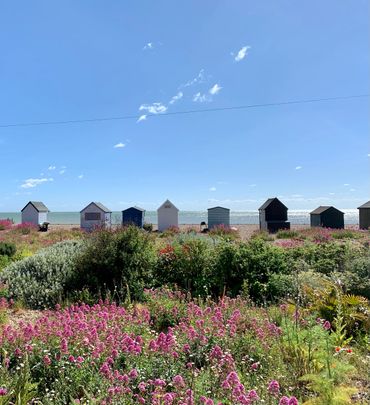 Colorful beach huts line the shore behind vibrant wildflowers under a clear blue sky.