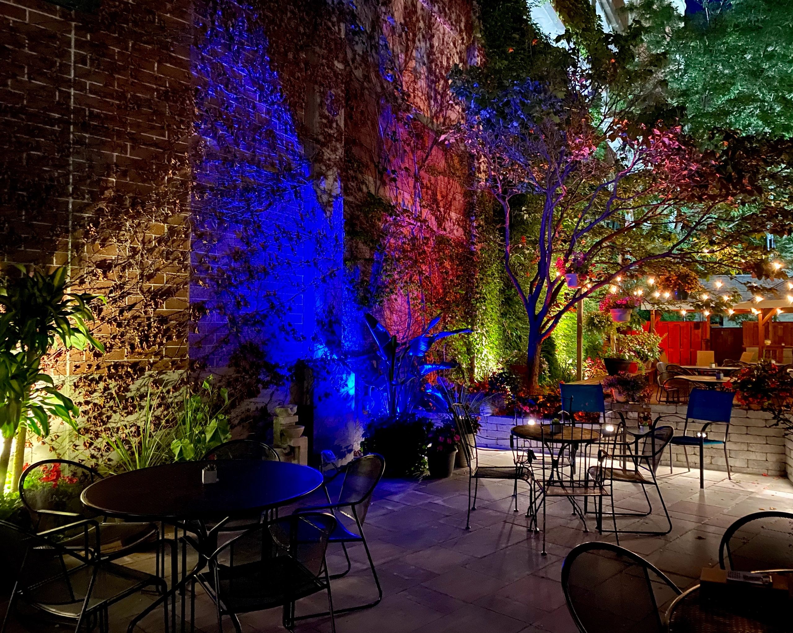 TIED HOUSE Cocktail Bar, Craft Cocktails