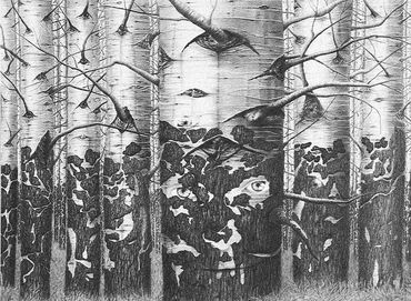 drawing of forest with four views of a face hidden in the trees