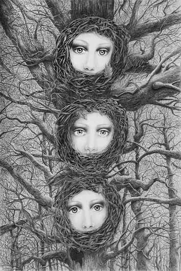 drawing of three female faces nestled into a tree with branches all around