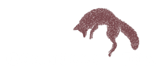 
Connolly Fox