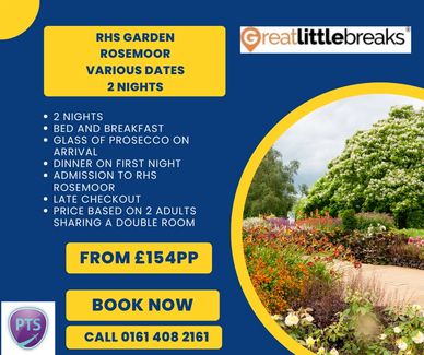 Colourful flower beds