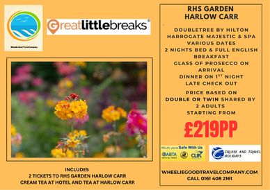 Colourful flower bed