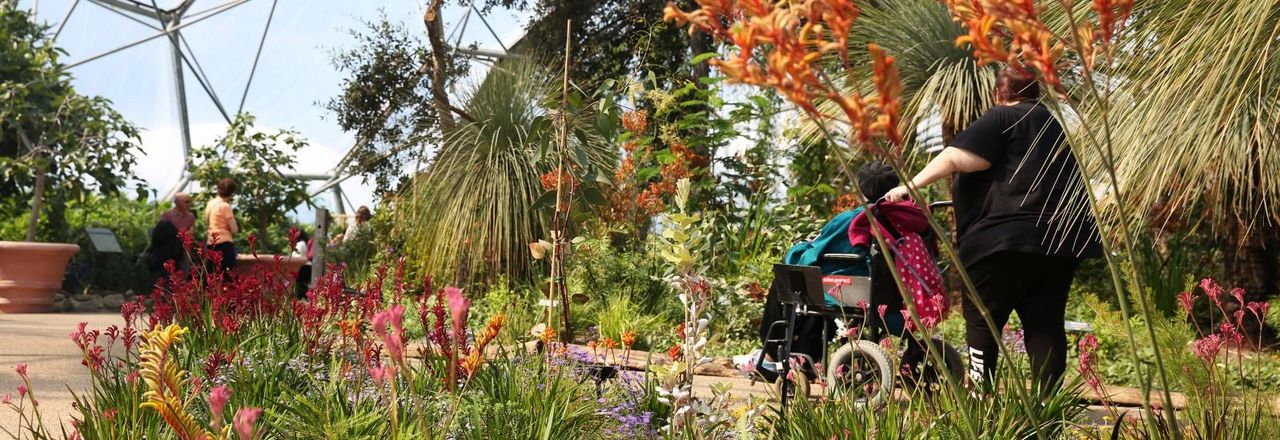 Wheelchair user enjoying the flowers in Eden Projects Biodomes Wheelchair user enjoying the flowers in Eden Projects Biodomes