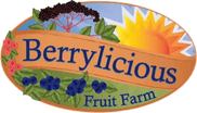 Berrylicious Fruit Farm