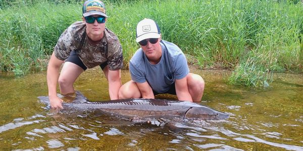 You never know what sort of adventures you are going to have, maybe even a 5 foot sturgeon!