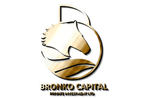Bronko Capital Ltd