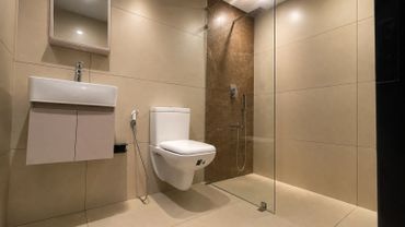 Toilet and Walk in shower at The Cottage and The Longhouse.