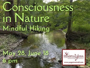 Flyer for mindful hiking sessions in nature, promoting consciousness and wellness.