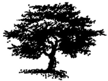 Black silhouette of a large tree with spreading branches and roots.